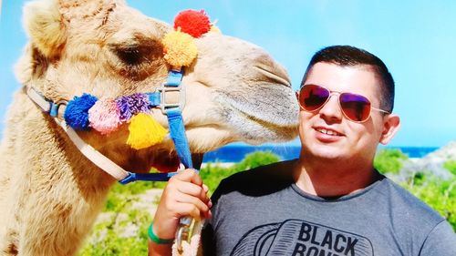 Smiling young man wearing sunglasses with camel during sunny day