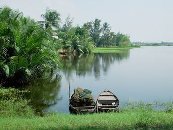 Scenic view of palm trees by lake against sky