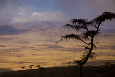 Scenic view of landscape against sky during sunset