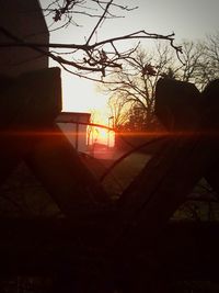 Silhouette of tree at sunset