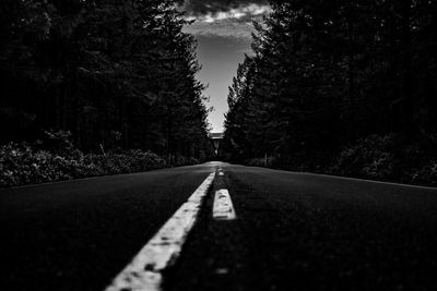 Surface level of empty road along trees