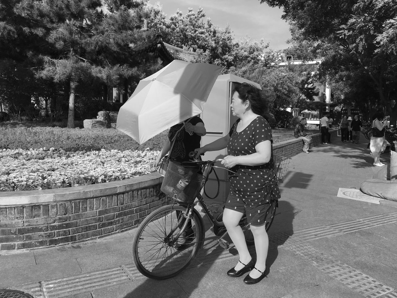 bicycle, real people, transportation, two people, tree, land vehicle, leisure activity, outdoors, mode of transport, full length, day, lifestyles, women, togetherness, nature, city, sky, young adult, people