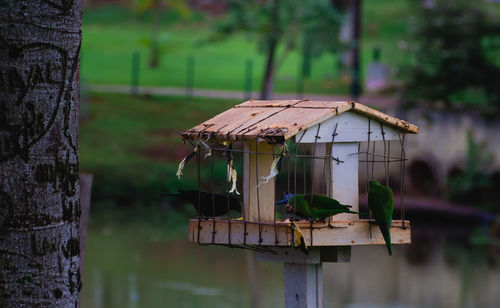 Close-up of birdhouse on wooden post