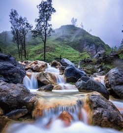 Stream flowing through rocks in forest against sky