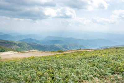 Scenic view of landscape against sky