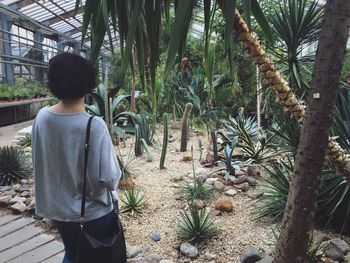 Rear view of man standing by tree