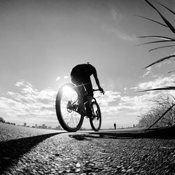 Man riding bicycle on road