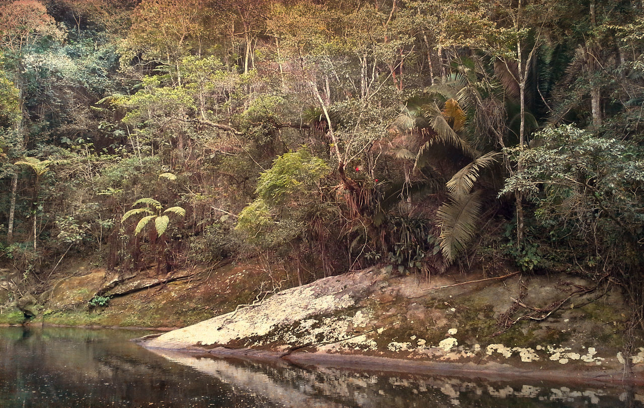 Lídice - Rio Claro - RJ