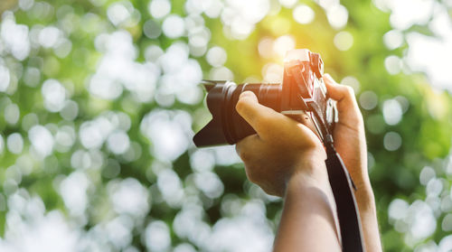 Close-up of woman hand holding tree against blurred background