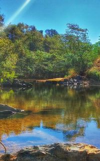 Reflection of trees in lake against blue sky