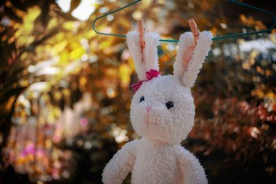 Close-up of stuffed toy hanging outdoors