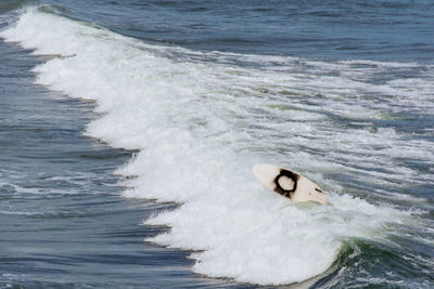 High angle view of person swimming in sea