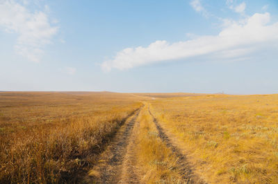 Scenic view of agricultural field against sky