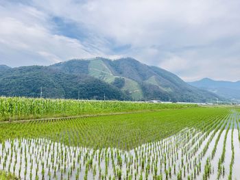 Scenic view of mountains against sky