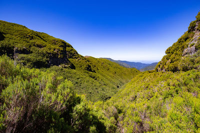 Scenic view of mountains against clear blue sky