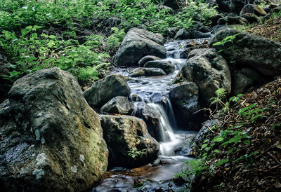 View of waterfall in forest