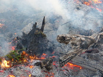 High angle view of bonfire