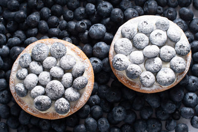 Sweet dessert cake with pudding cream and blueberries sprinkled with sugar