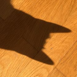 High angle view of shadow on hardwood floor