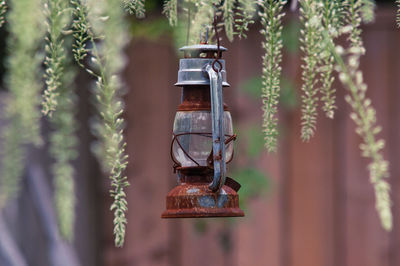 Close-up of illuminated lantern hanging on tree