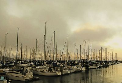 Boats moored at harbor