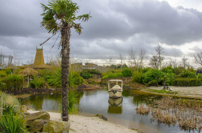 Scenic view of palm trees by lake against sky