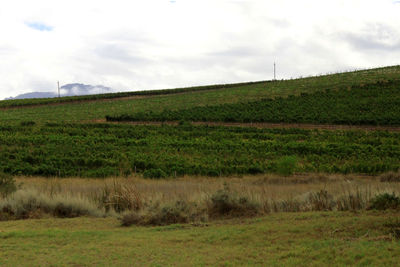 Scenic view of grassy field against cloudy sky