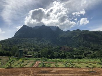 Scenic view of agricultural field against sky