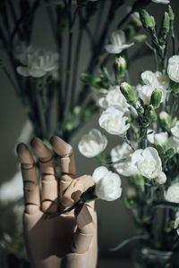 Close-up of white roses on plant