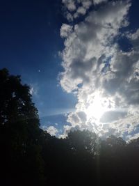 Low angle view of silhouette trees against sky