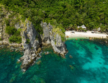 Aerial view of island with sandy beach and coral reef. apo island. negros, philippines.