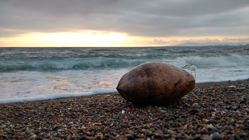 Surface level of stones on beach against sky during sunset