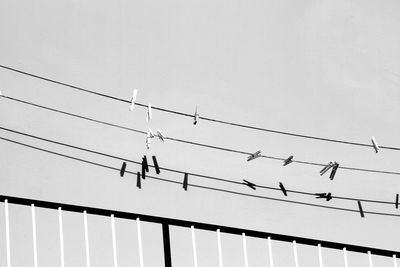 Low angle view of birds perching on cable against sky