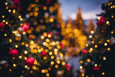 Illuminated christmas tree at night