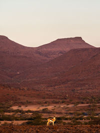 Scenic view of landscape