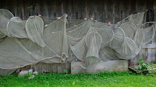 Clothes drying on field