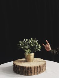 Cropped hand of person gesturing by potted plant against wall