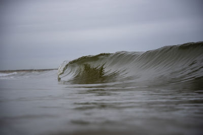 Surface level of wave in the sea