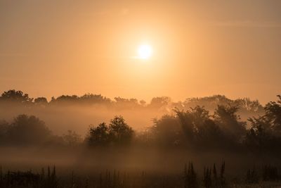 Silhouette trees on landscape against sky during sunset