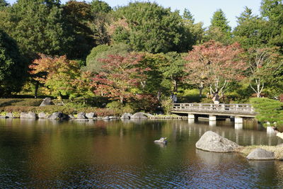 Scenic view of lake by trees against sky