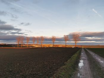 Road amidst field against sky