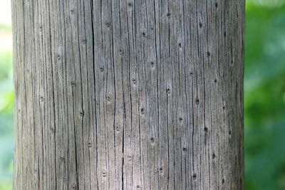 Full frame shot of wood