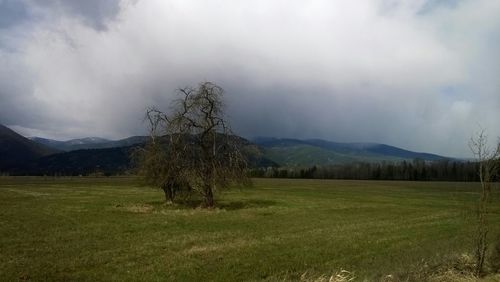 Scenic view of landscape against cloudy sky