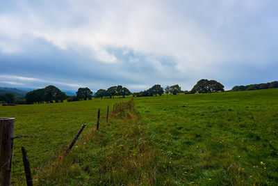 Scenic view of field against sky