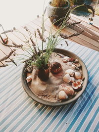 High angle view of potted plant on table