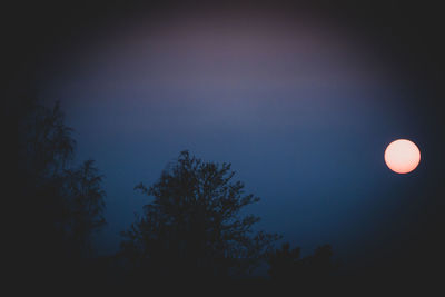 Low angle view of silhouette trees against sky at night