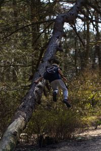 Full length of man jumping on tree trunk in forest