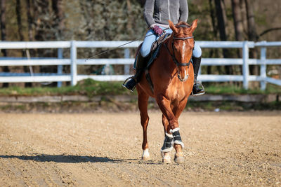 Full length of woman riding horse on field