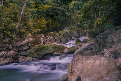 Stream flowing through rocks in forest