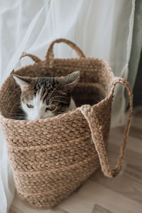 basket